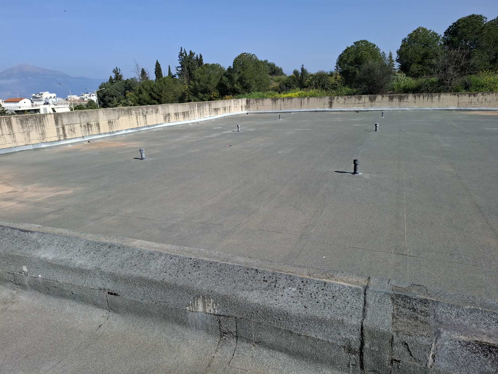 Ταρατσόκηπος 1