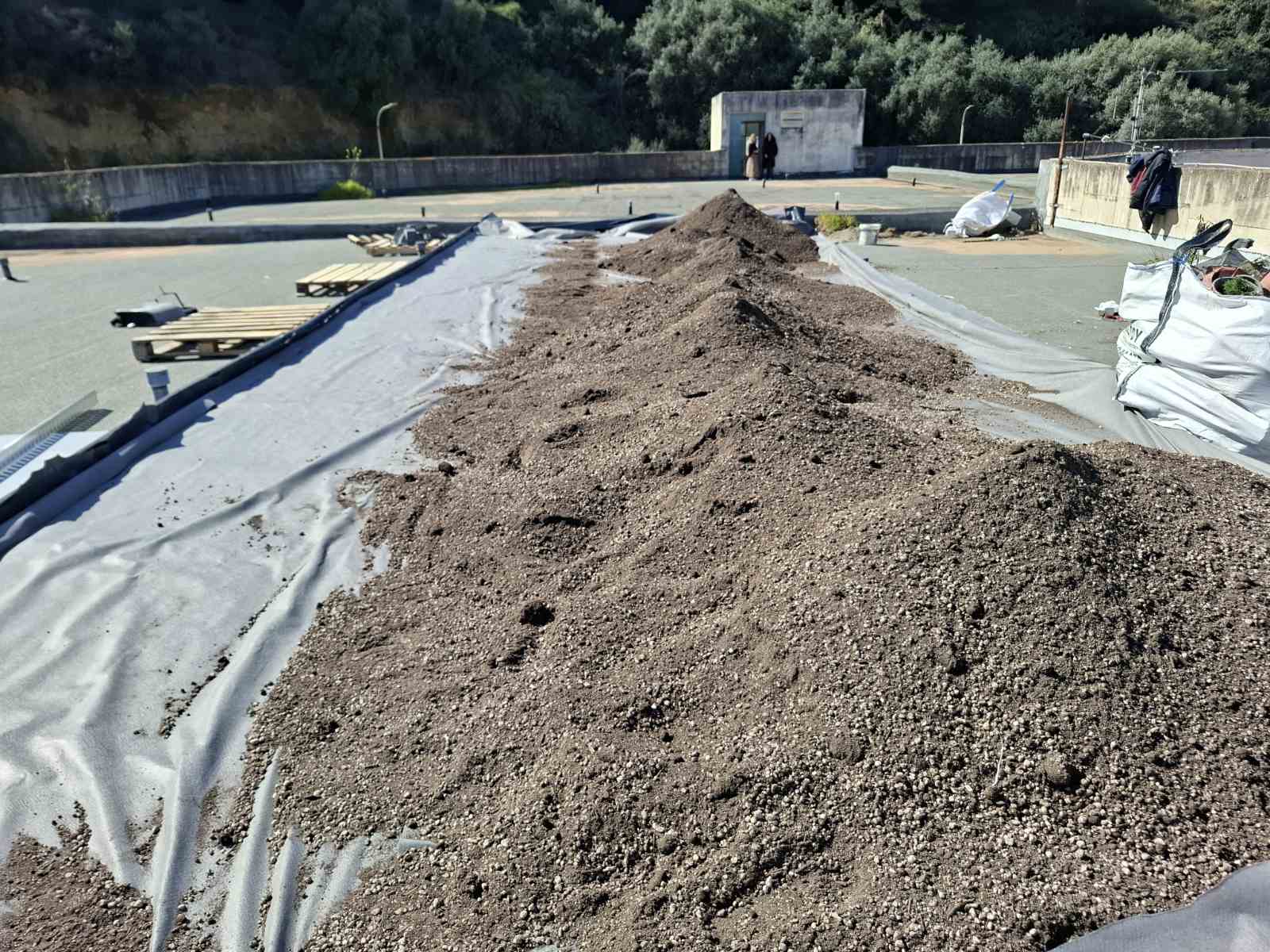 Ταρατσόκηπος 9
