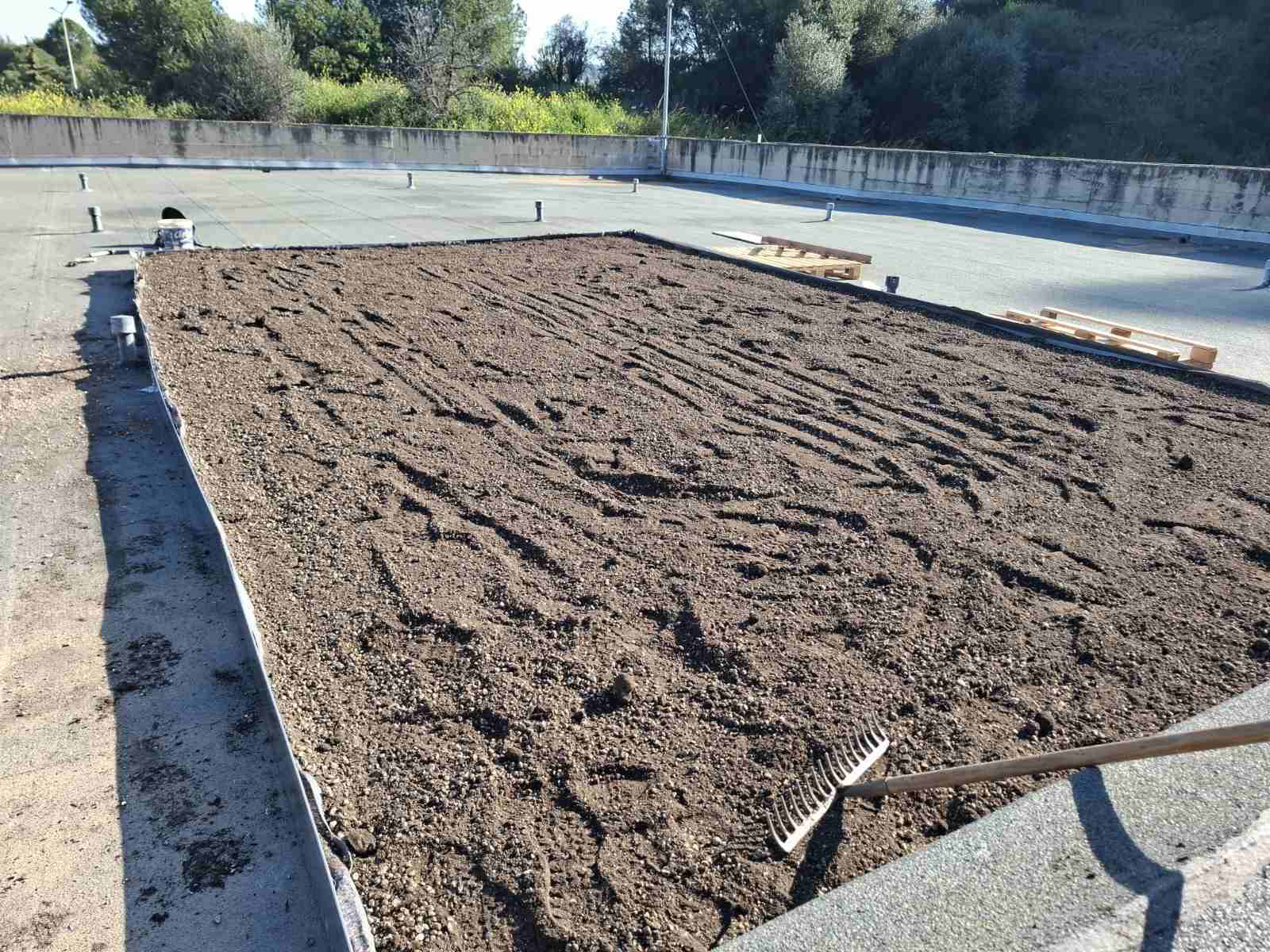 Ταρατσόκηπος 10