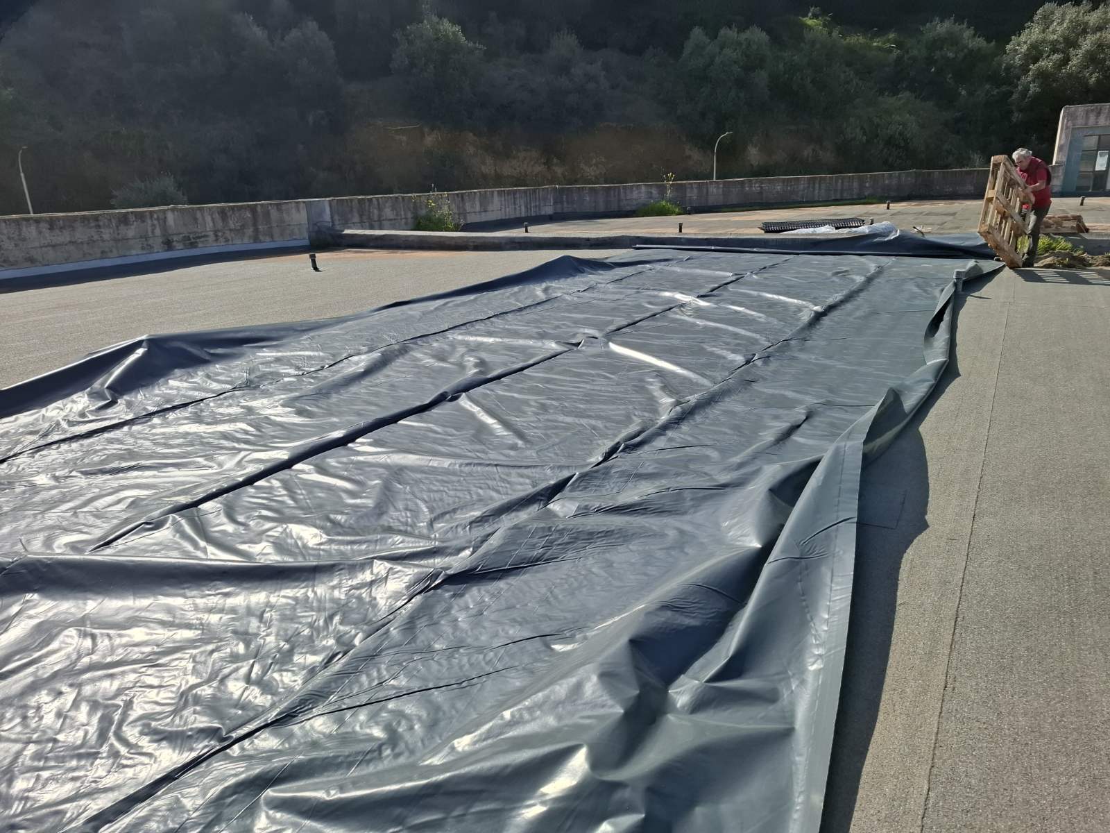 Ταρατσόκηπος 4